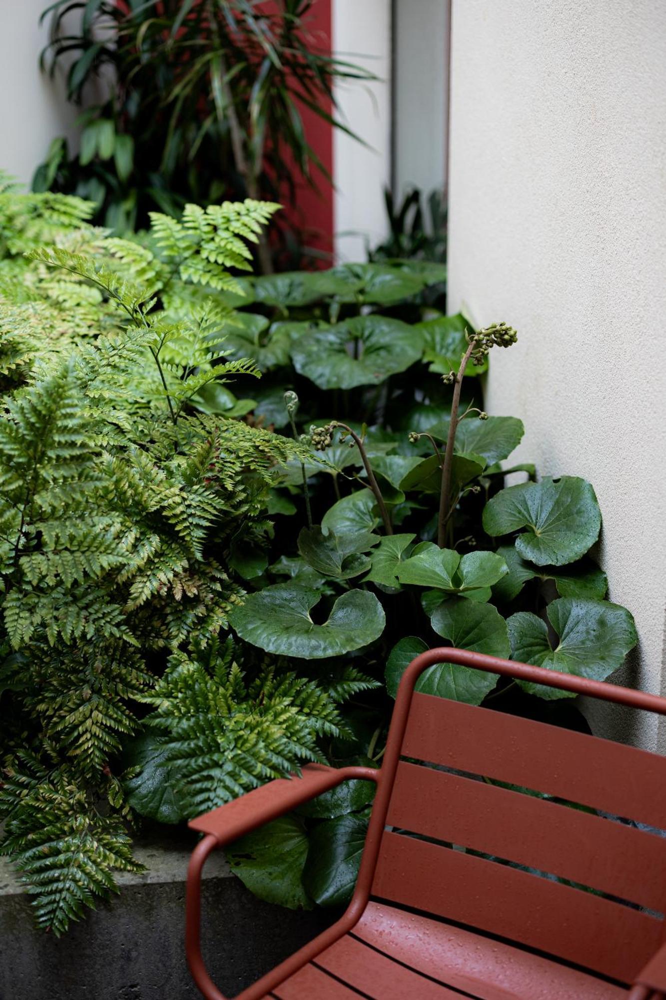 Premium Zimmer mit Terrasse